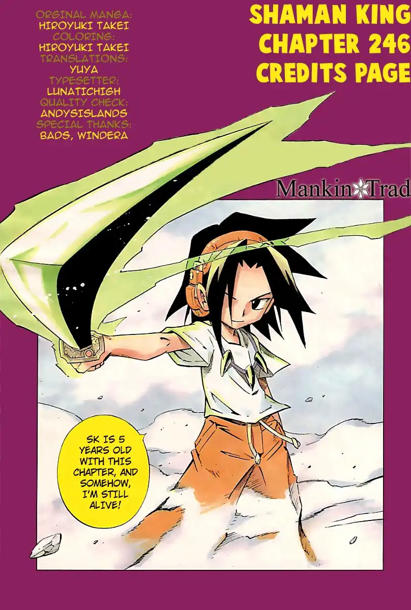 Shaman King Chapter 246 19